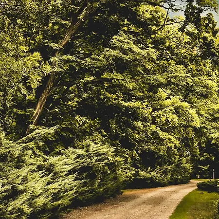 Dwór Giemzów - Autostrada A1 Hotel